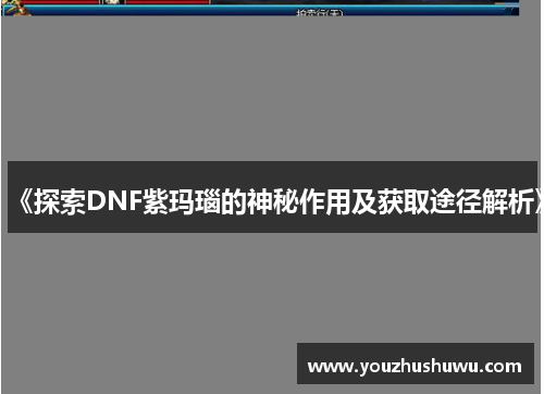 《探索DNF紫玛瑙的神秘作用及获取途径解析》